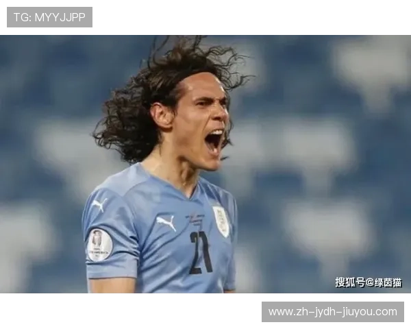 澳客网提供的巴西甲级联赛积分榜权威数据